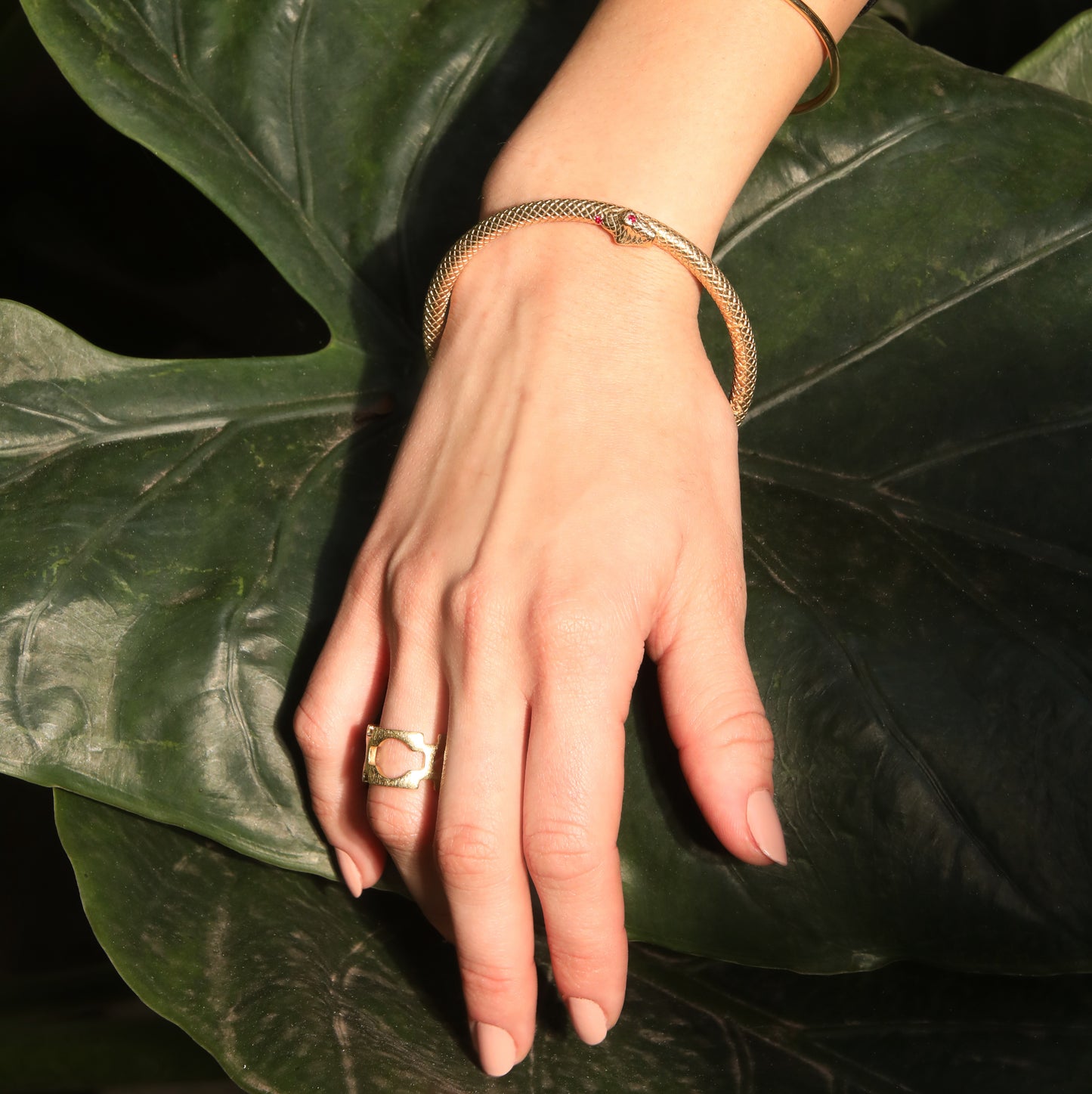 Amazon Serpent Bangle